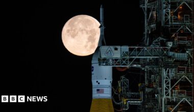 It's So Loud In Here!