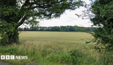 A field with trees in the background and on either side of the picture in the foreground. The verge has some long grass on it.