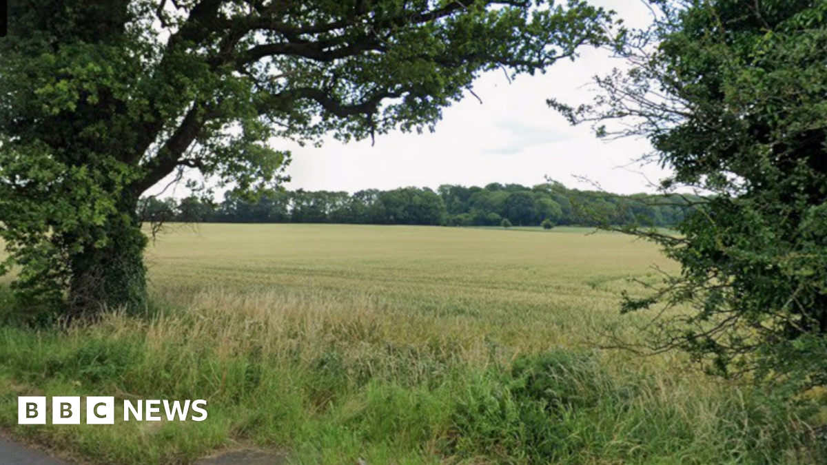A field with trees in the background and on either side of the picture in the foreground. The verge has some long grass on it.