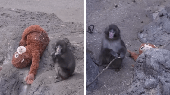 Yahoo lifestyle home