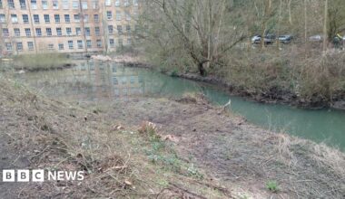 Area of scruffy, cleared scrub land in a dip, with a strip of water at the bottom, leading up to a historic mill building