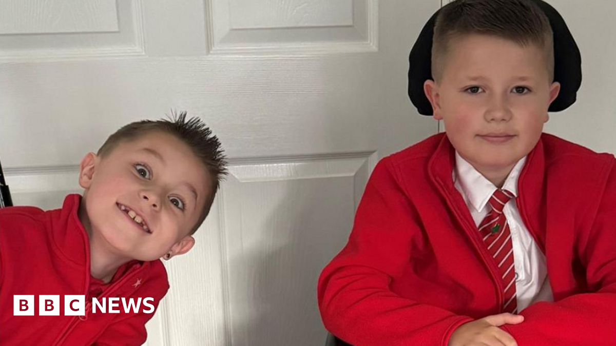 A boy in a black football shirt sits in his electric wheelchair on newly laid artificial grass in a sunny back garden. A raised timber flower bed with freshly planted flowers and daffodils separates the lawn from a bark-covered area, with the edge of a trampoline visible to the left. The garden backs onto a red brick bungalow under a clear blue sky.