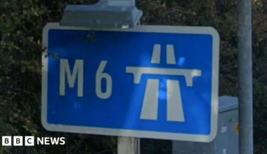 A blue M6 sign surrounded by bushes.