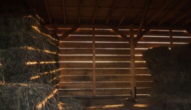 A Man Discovered A Mysterious Stone In His Barn That Turned Out To Be An Archaeological Treasure