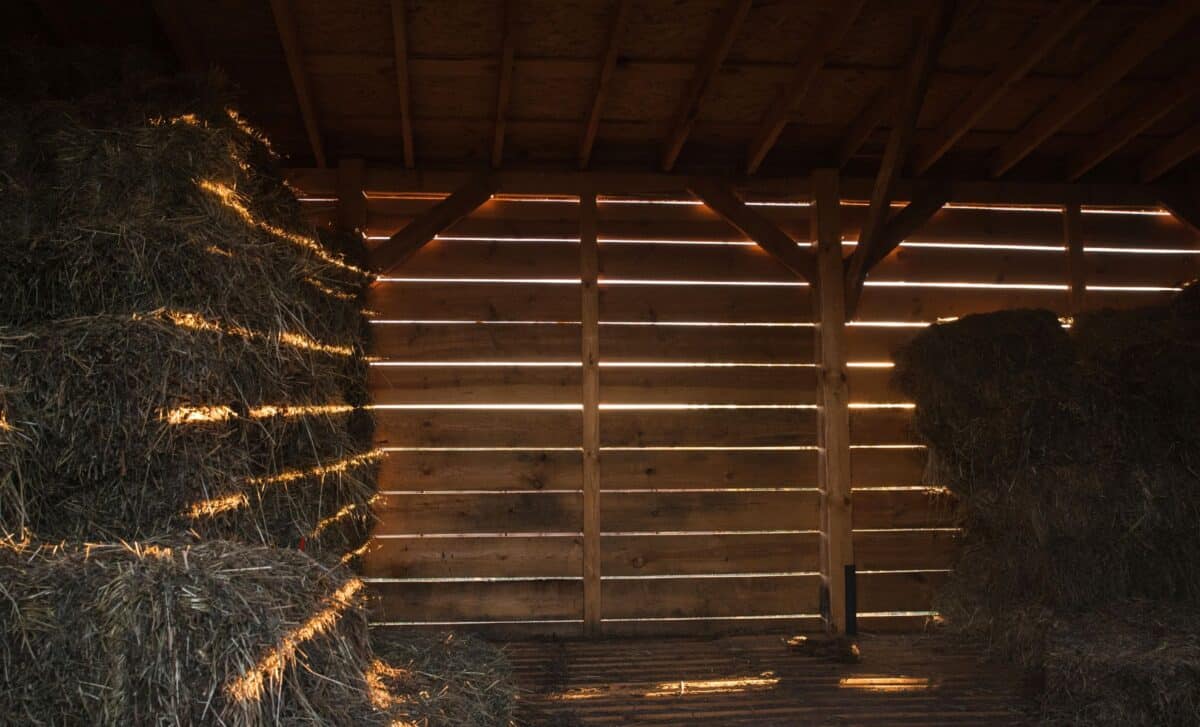 A Man Discovered A Mysterious Stone In His Barn That Turned Out To Be An Archaeological Treasure
