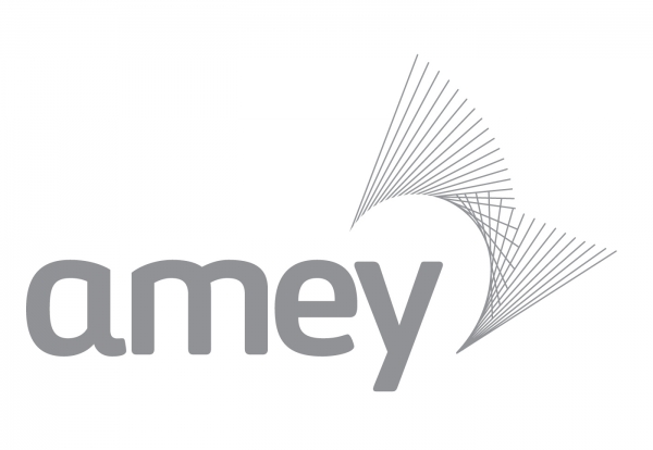 Amey tops construction minimum wage breach list