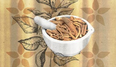 Ashwagandha Benefits: What the Ancient Herb Can Do for Stress and Strength