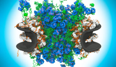 Disorder Drives One of Nature’s Most Complex Machines