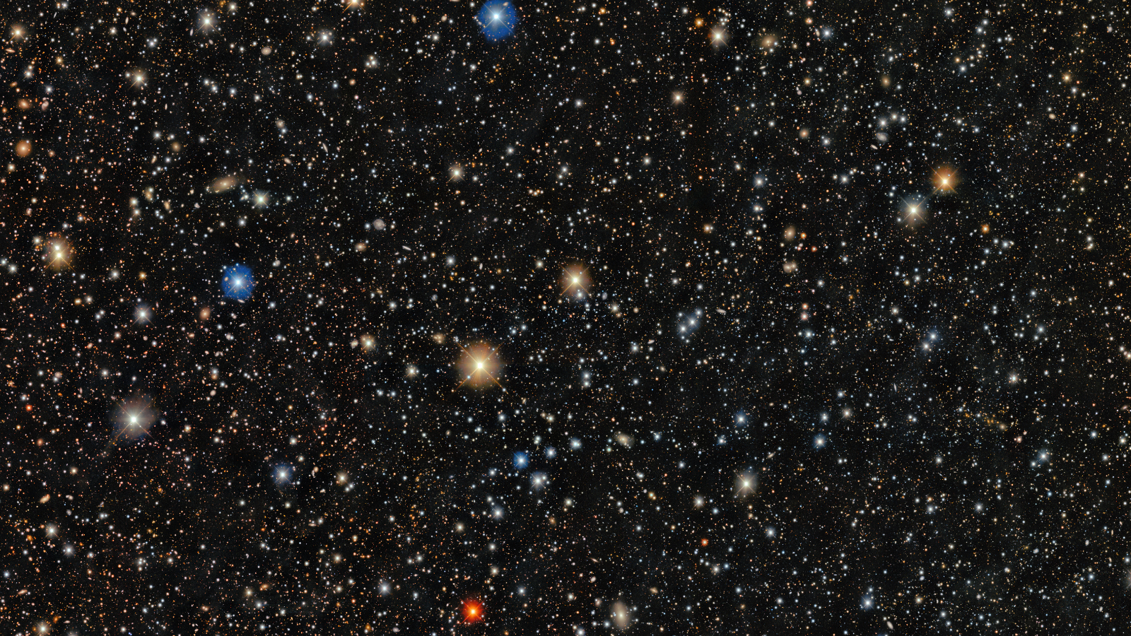 Tons of stars are seen against a dark sky.