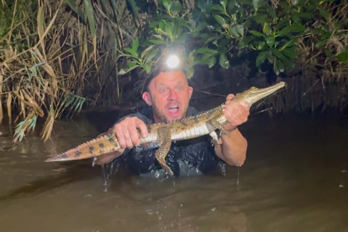 Crocodile found hundreds of miles from home in Australia
