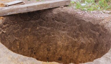 Discovered After 700 Years, Archaeologists Found A Massive Pit In Germany Full Of Human Remains