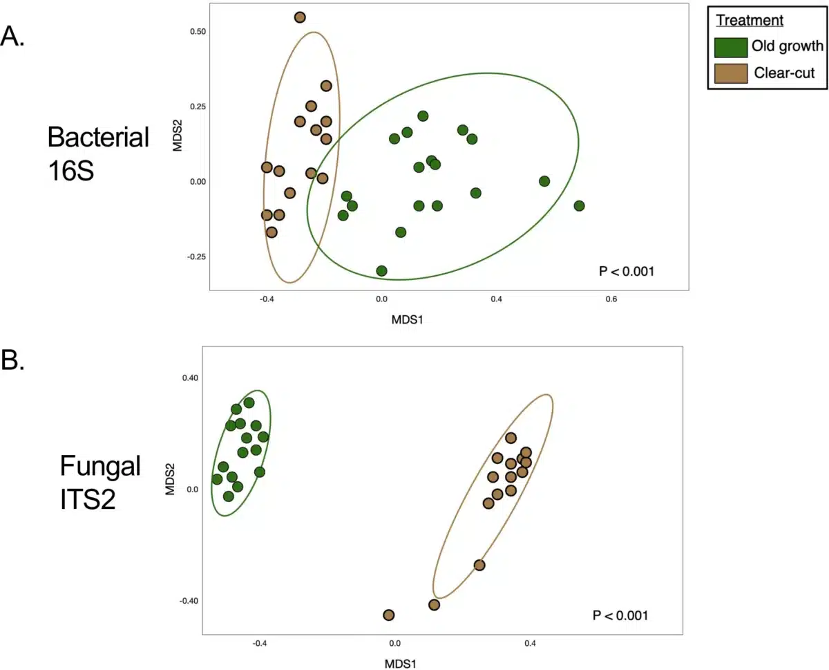 Distinct Clustering Highlights Differences In Bacterial And Fungal Communities Between Treatments