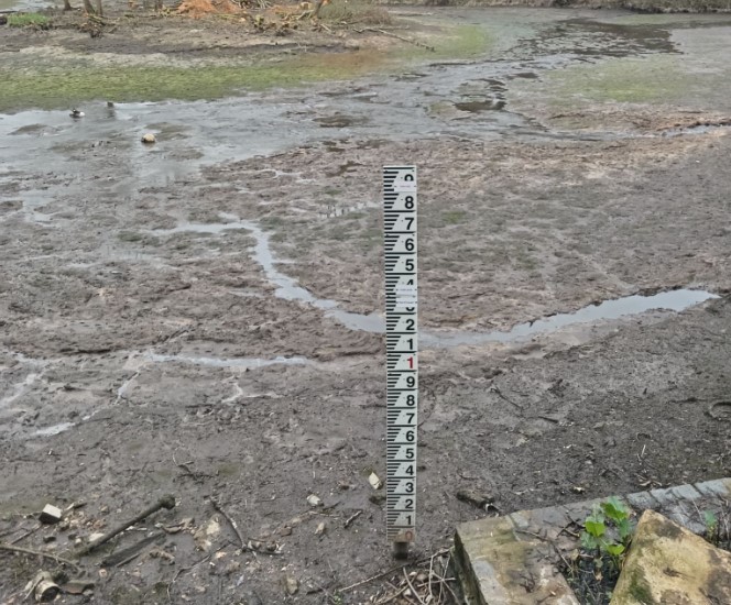 Drained Mill Pond One at Pleasley Vale Business Park which is undergoing desilting as part of environmental and flood mitigation works. Image courtesy of Mansfield Wildlife Rescue