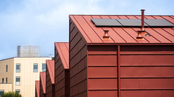 BDP blames ‘tougher trading conditions’ for 60% profits slump and turnover drop