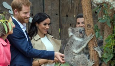 Harry and Meghan return to Oz – but the royal honeymoon is long over