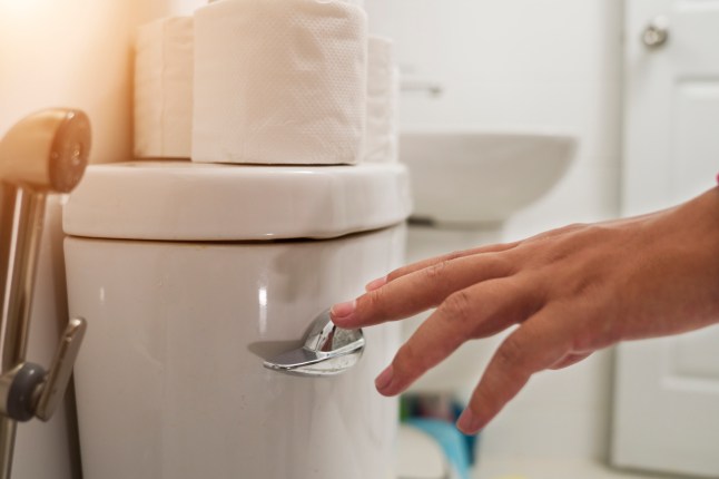 Cropped Hand Of Man Flushing Water