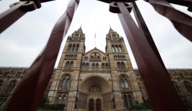 UK Museums Hold Over 260,000 Human Remains, Report Finds