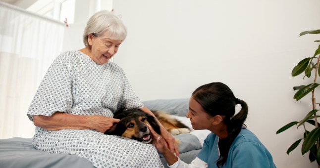 Happy woman, nurse and senior patient with service dog for healthcare aid, assistance or loyalty at hospital. Female person, caregiver and pet assistant with client for elderly care or clinic support