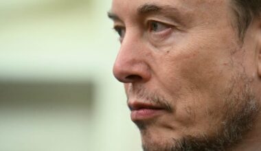 Elon Musk steps into the UK energy crisis – POLITICO