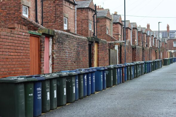 A row of wheelie bins
