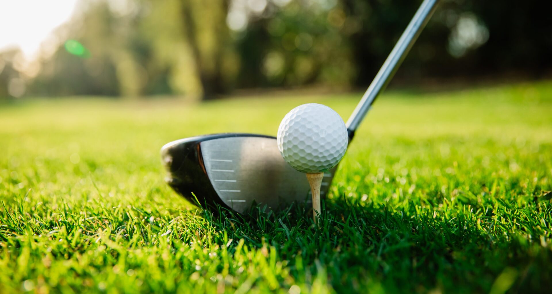 Golf club sinkhole reveals century-old wine cellar
