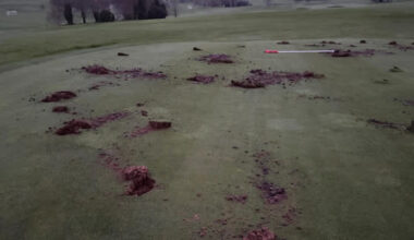 How to stop golf course vandalism