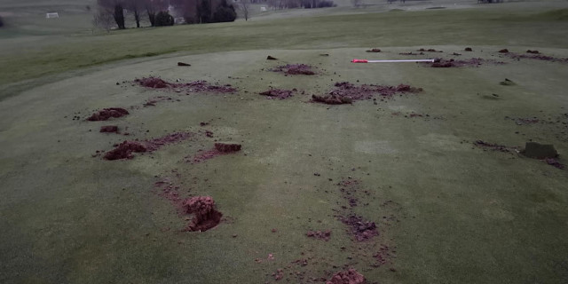 Royal Estbourne Vandals