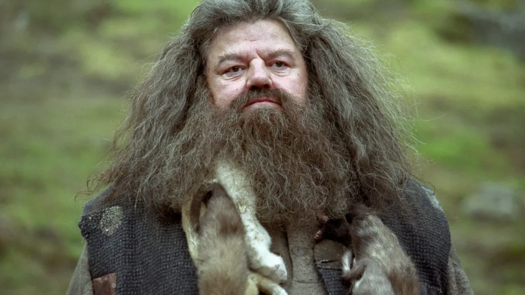 Hagrid in Harry Potter