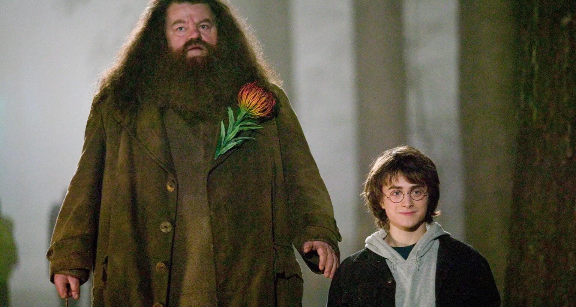 Harry Potter Fans Slam the Worst Plot Hole, 27 Years on