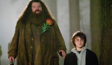 Harry Potter Fans Slam the Worst Plot Hole, 27 Years on