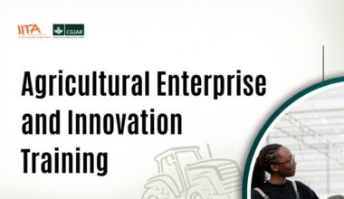 Call for Applications: IITA Agricultural Enterprise and Innovation Training