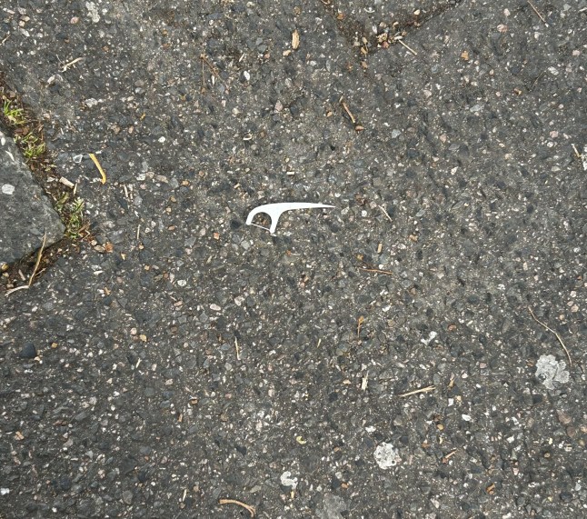 dental floss pick on pavement