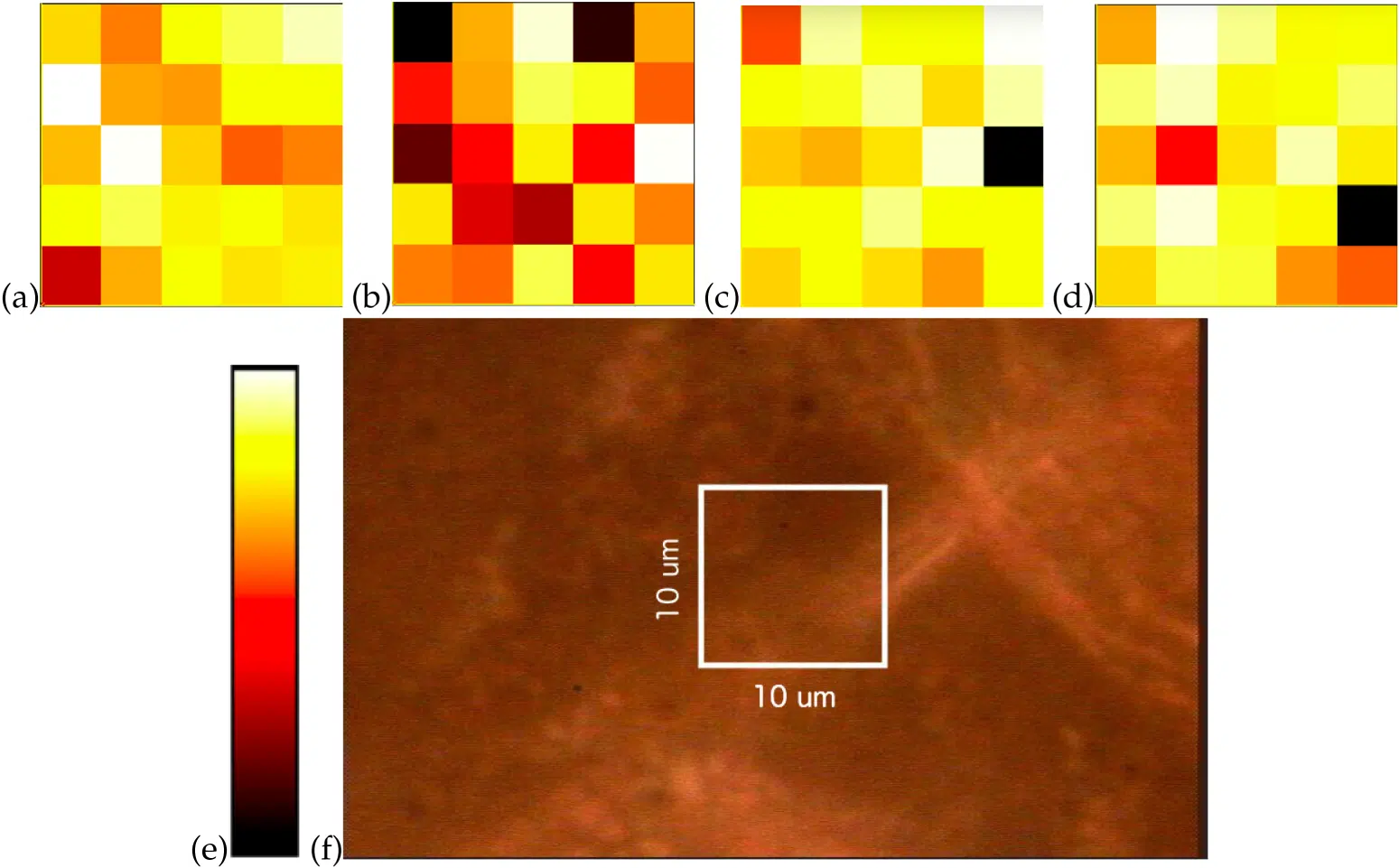 Images Colored According To Raman Signal Strength.