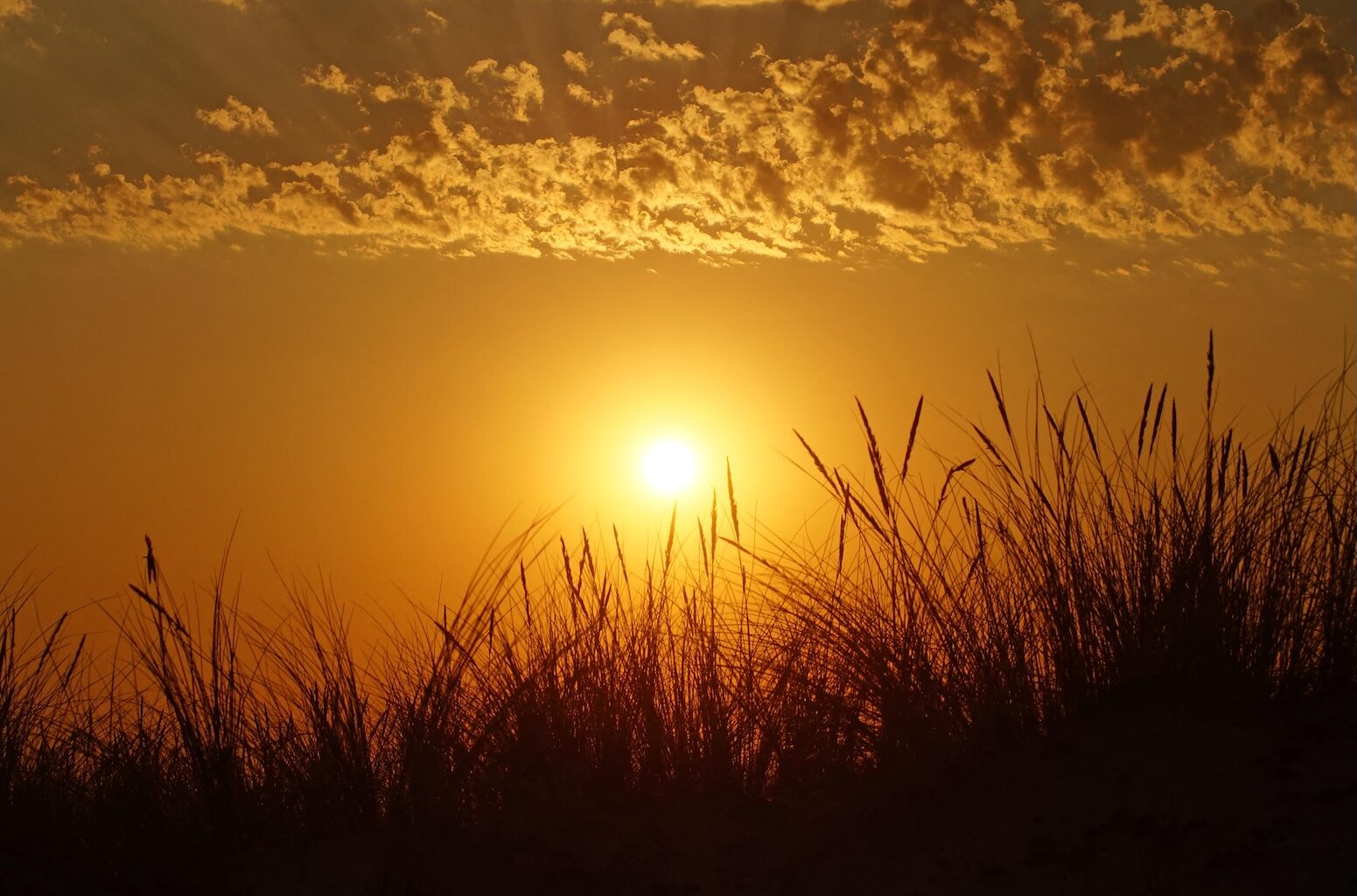 Pace of global warming has nearly doubled since 2015, reveals study