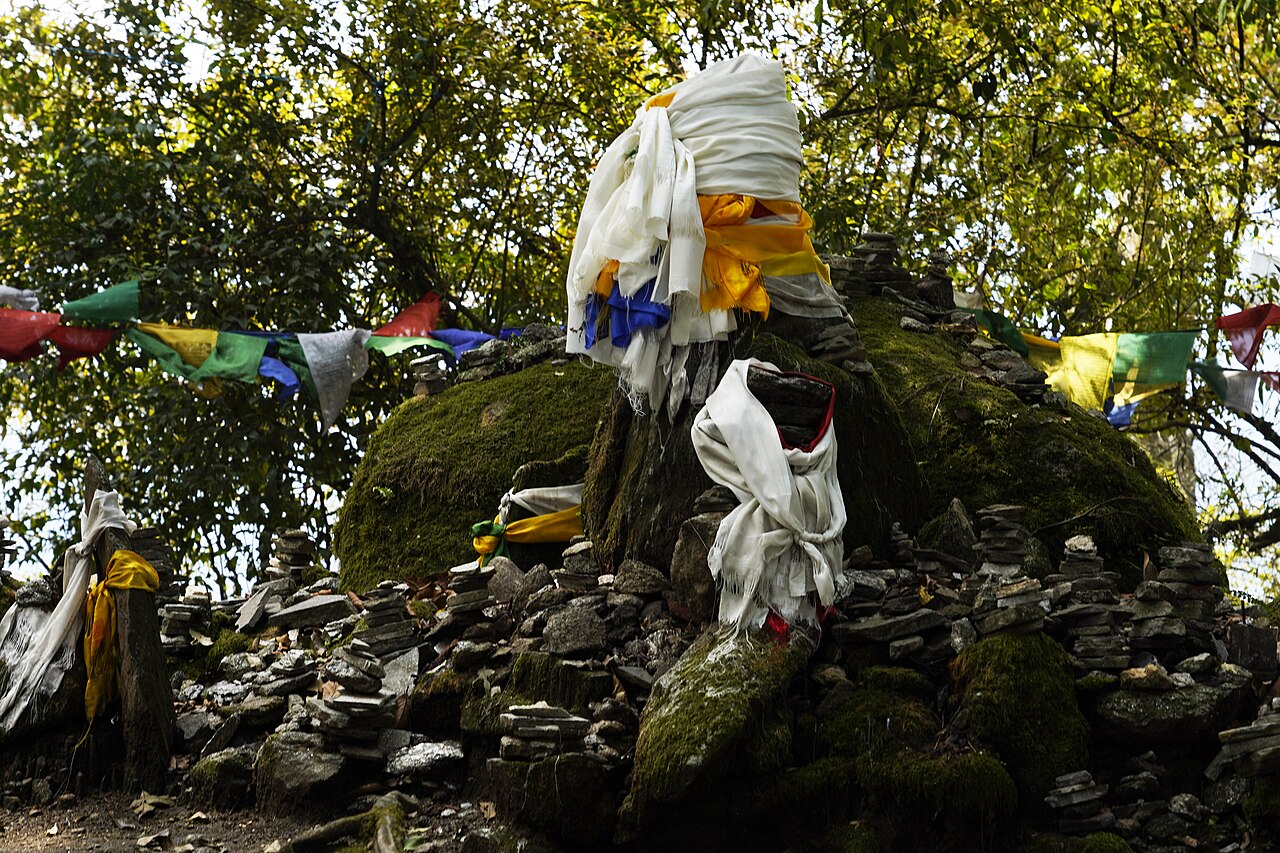 A sacred grove in Sikkim. Image by Amitabha Gupta via Wikimedia Commons (CC BY 4.0).