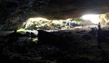 Behind a waterfall lies a 200-metre-deep elephant cave harbouring a deadly virus that has a terrifying 88% fatality rate