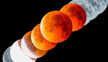 Lunar eclipse Atharva Maurya and Harshwardhan Pathak, Uttar Pradesh, India, 7 September 2025 Equipment: Canon EOS Rebel SL2 camera, Pie Matrix Helix reflector, Sky-Watcher EQ3 mount