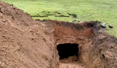 Demi Lovato Slams Age-Gap Relationship with ‘That ’70s Show’ Ex - The Daily Beast