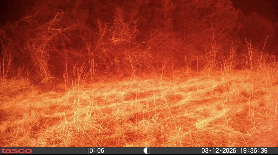 A trail camera went through one of the Nebraska wildfires on March 12, 2026