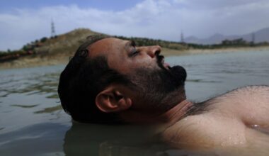 'A Dog Called Money' Director Preps Doc on Resilient Afghan Family