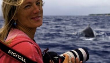 Incredible moment hero whale saves diver from shark by hiding her under fin