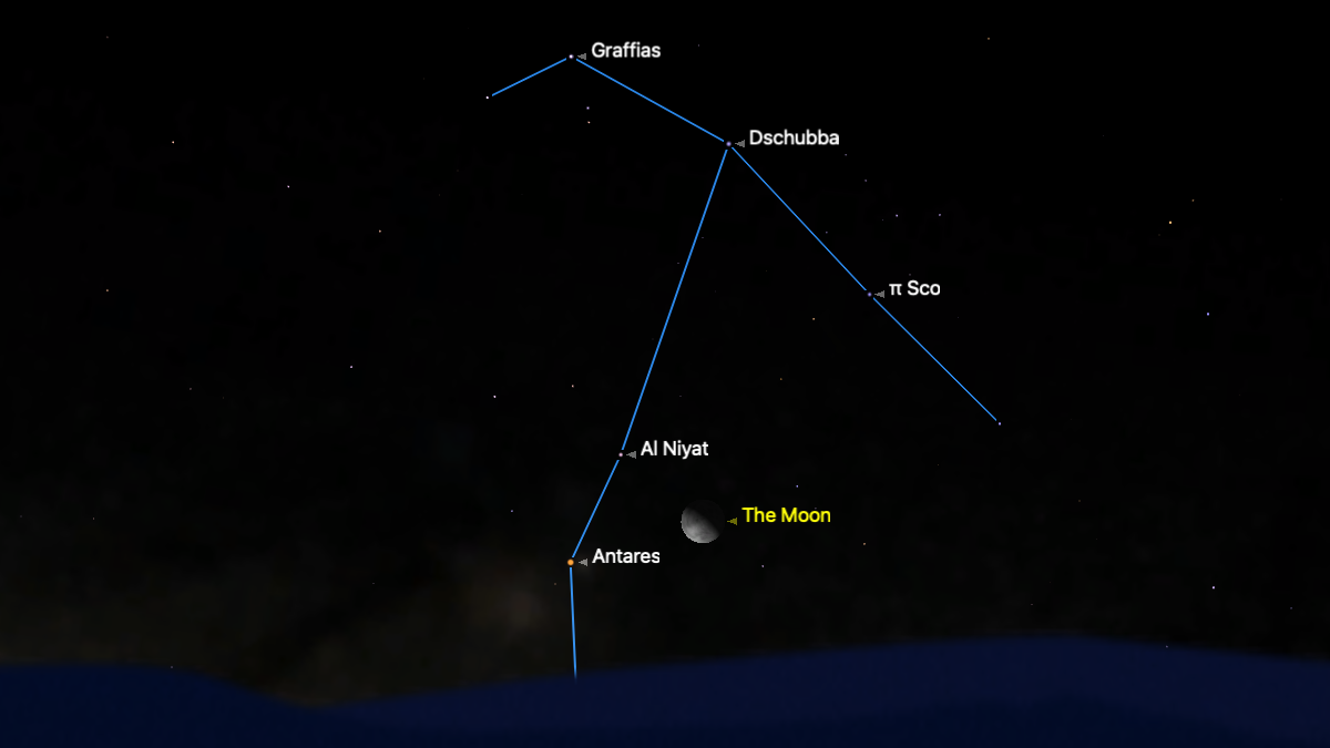 A simulation of the night sky for March 10 showing the moon above a silhouetted horizon close to the bright star Antares in the constellation Scorpius, the members of which are labelled by name and connected by a blue line.