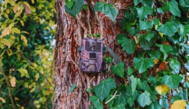 Once Believed To Be Extinct, This Creature Has Recently Been Captured On Camera In Remote Forests