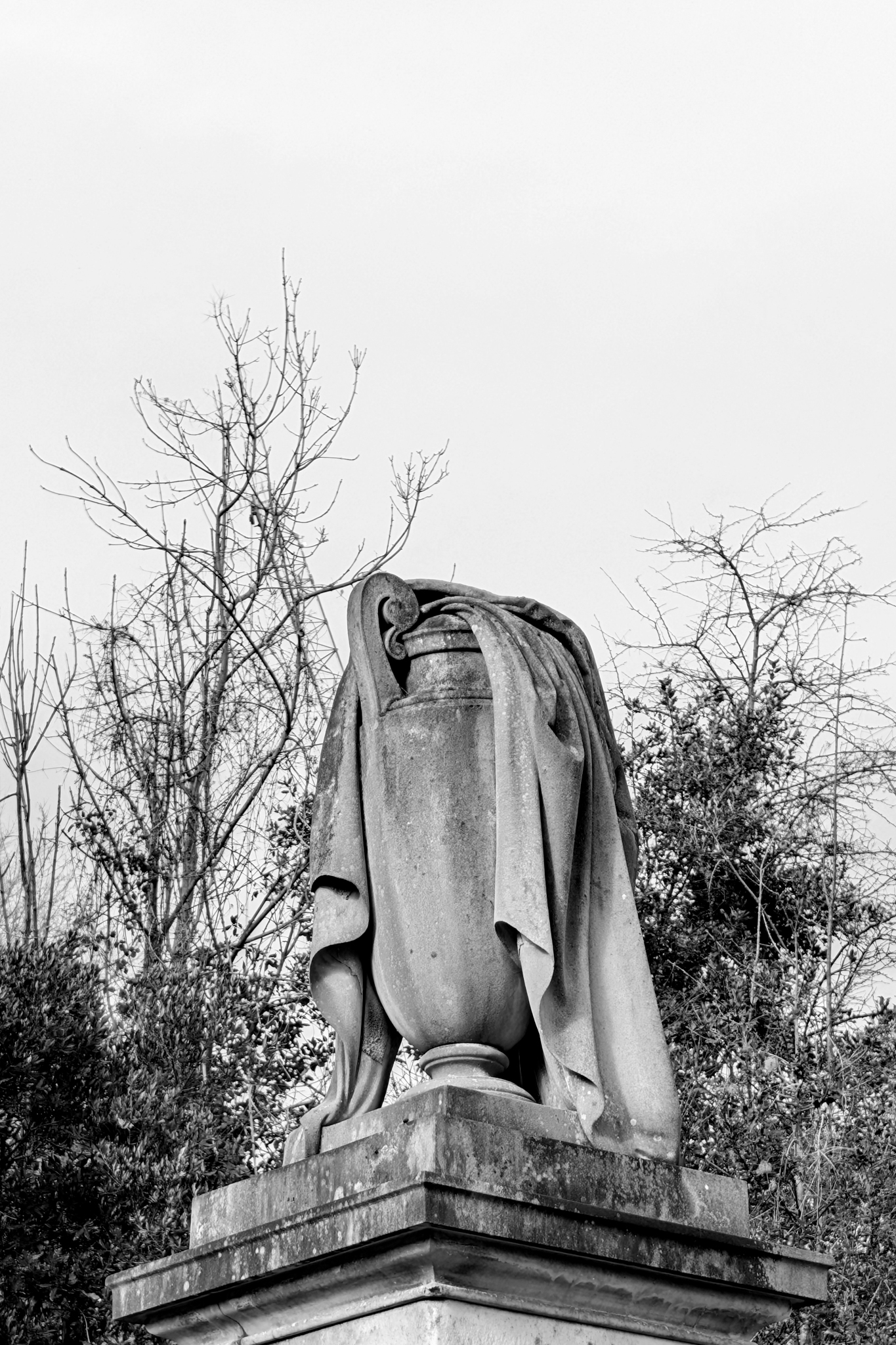 Leica Q3 Monochrom and Google Pixel 10 Pro XL comparison