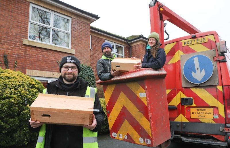 Wrexham care homes helping to save Wales’ declining swift population