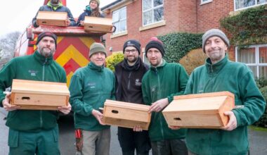 Wrexham care homes helping to save Wales’ declining swift population