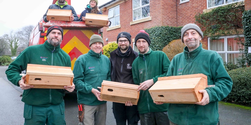 Wrexham care homes helping to save Wales’ declining swift population