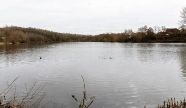 Priorslee Flash, one of the two new reserves. Photo: Telford & WRekin Council
