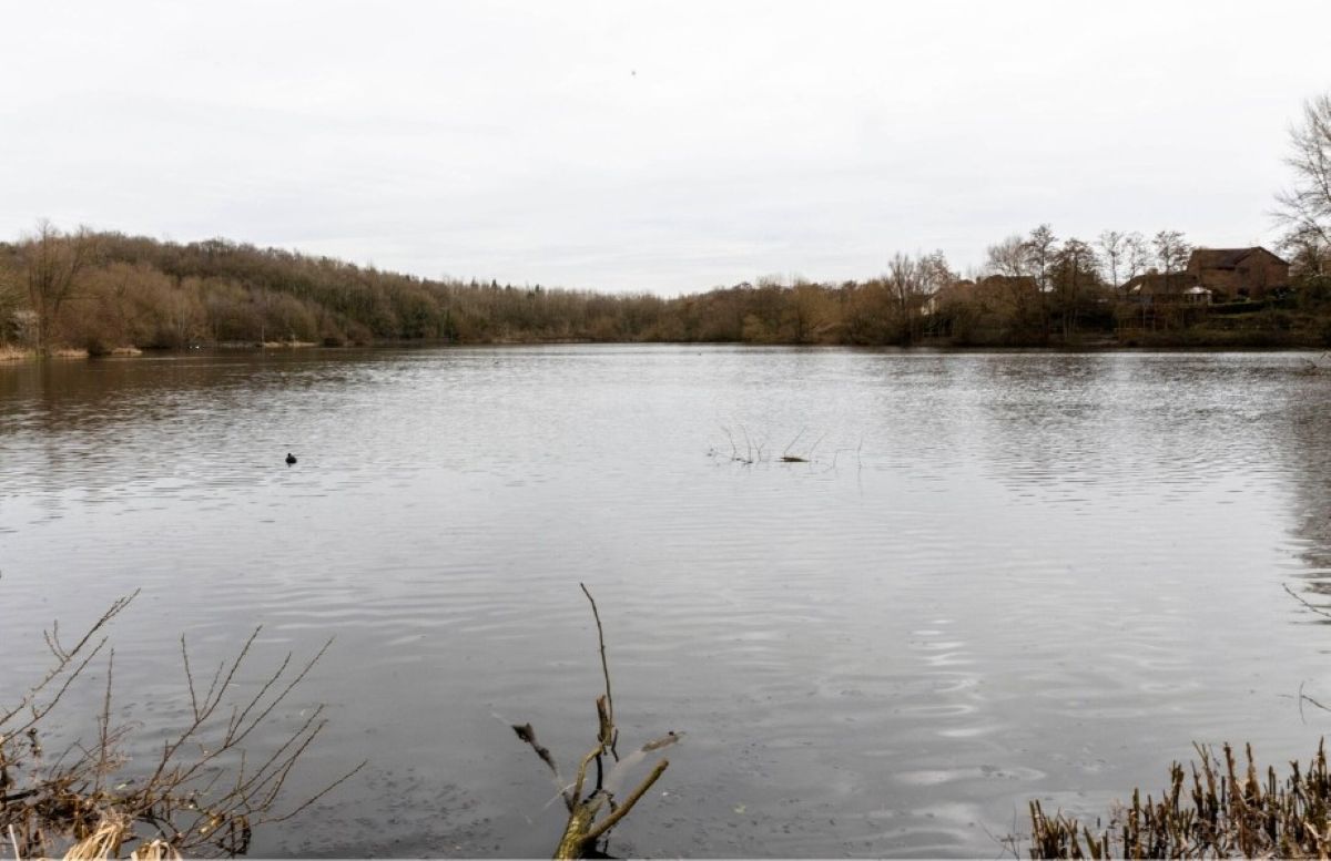Priorslee Flash, one of the two new reserves. Photo: Telford & WRekin Council