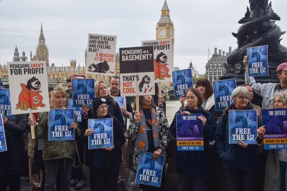 Protesters holding placards demand release of London Aquarium's penguins Protesters holding placards demand release of London Aquarium's penguins